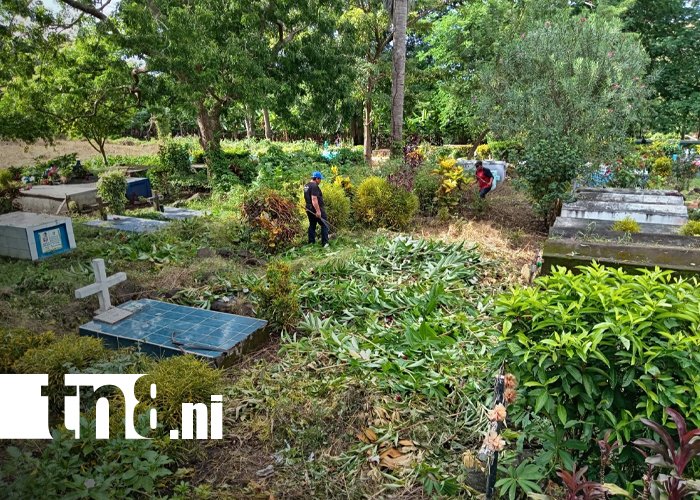 Foto: Comunidad y autoridades trabajan unidas en Ometepe/ TN8