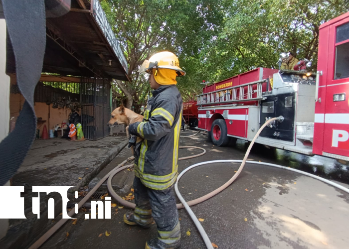 Foto: Vecinos y bomberos evitan tragedia en Managua /TN8