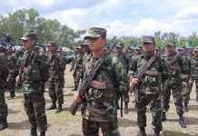 Foto: Resalta el esfuerzo de miles de familias cafetaleras que impulsan el crecimiento del Nicaragua / Cortesia