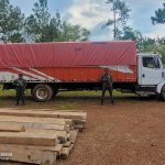 Ejército de Nicaragua ocupa madera ilegal y retiene a ciudadano en el Caribe Norte Foto: Incautación de madera ilegal en Alamikamba / TN8