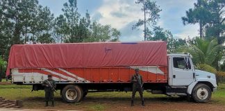 Foto: Incautación de madera ilegal en Alamikamba / TN8