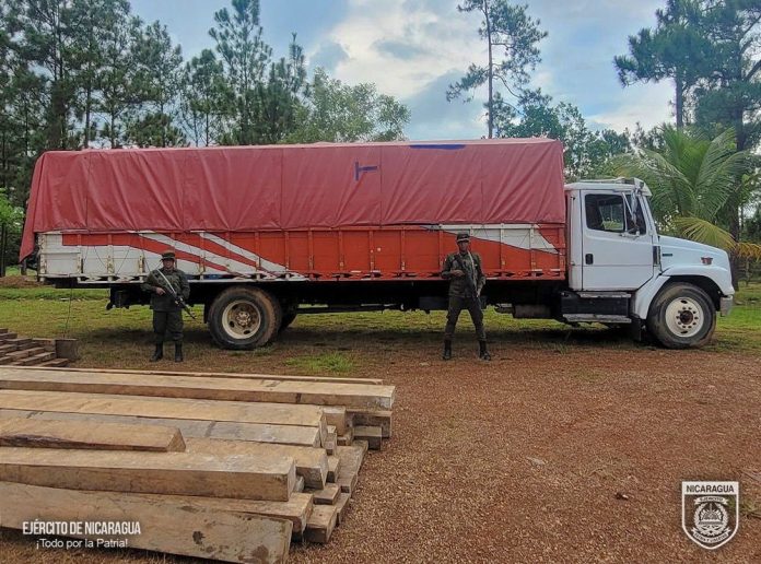 Foto: Incautación de madera ilegal en Alamikamba / TN8 Foto: Incautación de madera ilegal en Alamikamba / TN8