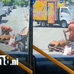 Indignante: caballo cae deshidratado en plena vía del puente El Edén, Managua Foto: Puente El Edén, Managua: escenario de un impactante maltrato animal (VIDEO) /TN8