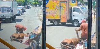 Foto: Puente El Edén, Managua: escenario de un impactante maltrato animal (VIDEO) /TN8