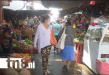 Canasta básica: Pollo y verduras bajan de precio mientras arroz y frijoles suben en Managua Foto: Precios en la canasta básica de Nicaragua / TN8