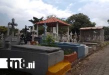 Foto: Cementerios de Managua activan planes de limpieza y comercio / TN8