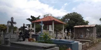 Foto: Cementerios de Managua activan planes de limpieza y comercio / TN8