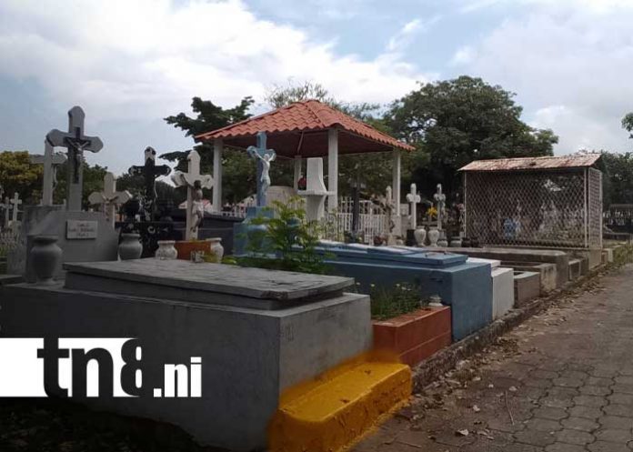 Foto: Cementerios de Managua activan planes de limpieza y comercio / TN8 Foto: Cementerios de Managua activan planes de limpieza y comercio / TN8