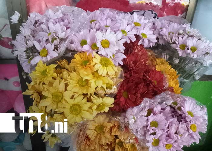 Foto: Cementerios de Managua activan planes de limpieza y comercio / TN8