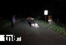 Un perro y un semoviente provocan par de accidentes en Jalapa Foto: Accidente de tránsito en Jalapa, Nueva Segovia / TN8