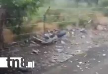 Foto: Mortal accidente de tránsito en carretera de Malpaisillo, León / TN8