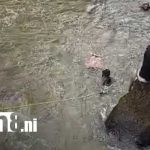 Fatalidad en el Salto del Río Plata (Nueva Guinea): joven muere ahogado tras un clavado Foto: Recuperan cuerpo de joven ahogado en Río Plata, Nueva Guinea / TN8