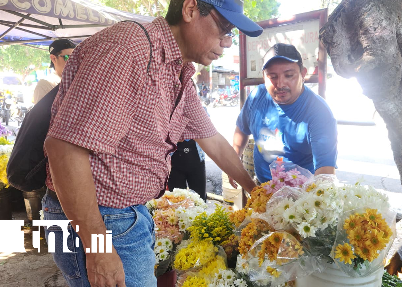 Foto: MINSA y bomberos activan plan “Cementerio” /TN8