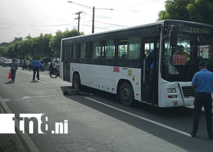 Foto: Mortal accidente de tránsito en el km 9.5 Carretera Norte / TN8 Foto: Mortal accidente de tránsito en el km 9.5 Carretera Norte / TN8
