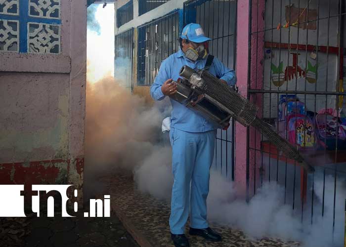 Foto: Fumigación y abatización en el Distrito IV de Managua / TN8