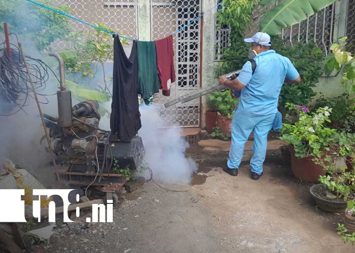 Foto: Fumigación y abatización en el Distrito IV de Managua / TN8