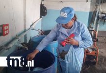 Foto: Fumigación y abatización en el Distrito IV de Managua / TN8