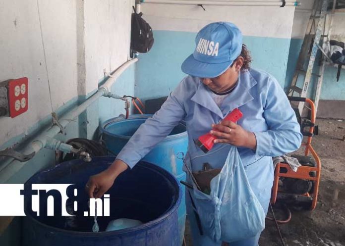 Foto: Fumigación y abatización en el Distrito IV de Managua / TN8 Foto: Fumigación y abatización en el Distrito IV de Managua / TN8