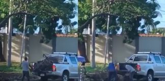 Foto: La limpieza de Managua no solo depende de la Alcaldía /TN8