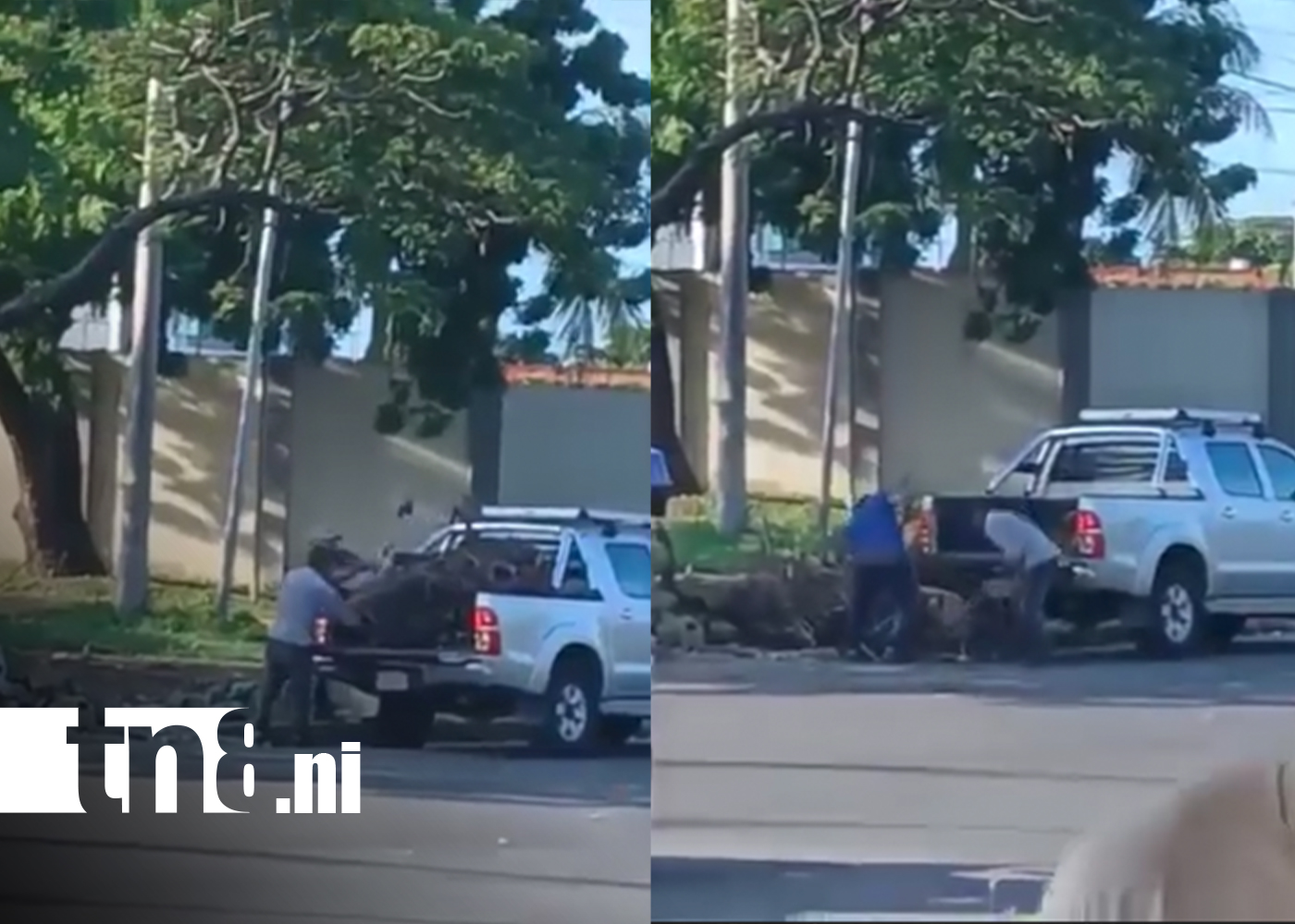 Foto: La limpieza de Managua no solo depende de la Alcaldía /TN8