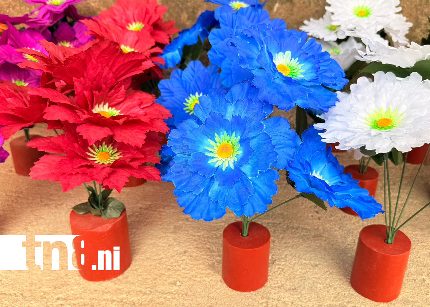 Foto: Jalapa se prepara con cementerios limpios y arreglos florales /TN8