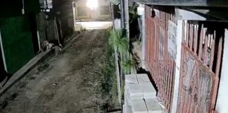 Foto: Sismo de 3.8 al norte de Jalapa