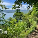 Hallan en Masaya cuerpo de joven: ¿Fue víctima de un violento robo? Foto: Macabro hallazgo en Masaya: cuerpo en estado de descomposición /TN8