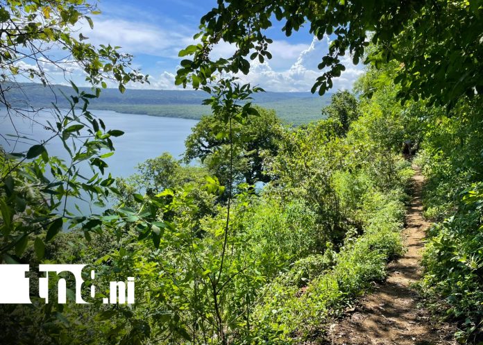 Foto: Macabro hallazgo en Masaya: cuerpo en estado de descomposición /TN8 Foto: Macabro hallazgo en Masaya: cuerpo en estado de descomposición /TN8