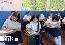 Foto: Teleclases, herramienta de reforzamiento para el aprendizaje /TN8