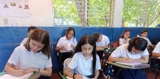 Foto: Teleclases, herramienta de reforzamiento para el aprendizaje /TN8