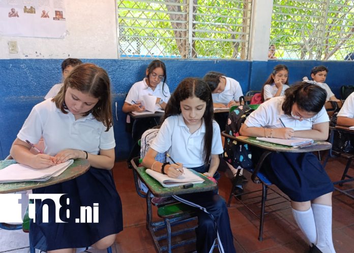 Foto: Teleclases, herramienta de reforzamiento para el aprendizaje /TN8 Foto: Teleclases, herramienta de reforzamiento para el aprendizaje /TN8
