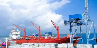 Foto: Nicaragua apunta a más de 100 millones en exportaciones / Cortesía