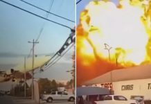 Filtran un video inédito del accidente aéreo en Kentucky, Estados Unidos Foto: Tragedia en Kentucky, Estados Unidos /cortesía