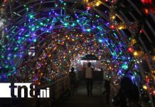 Foto: ¡Siuna brilla! Inauguración del Paseo de las Victorias y encendido del Árbol Navideño/TN8