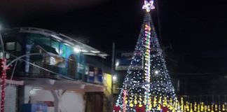Foto: ¡En la Isla de Ometepe ya se vive y se respira la Navidad, con las luces navideñas!/TN8