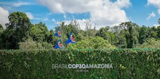 Foto: La COP30 busca ser la COP de la verdad /cortesía