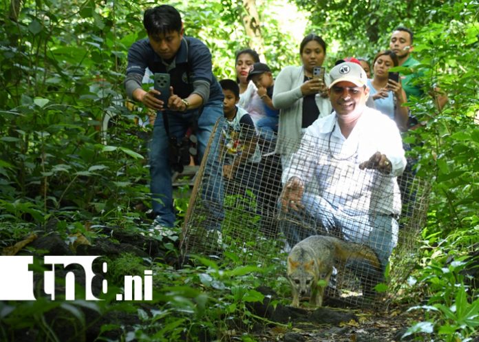 Foto: MARENA realiza festival ambiental en homenaje a Laviana y Fonseca/Cortesía
