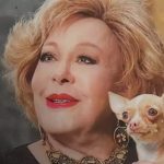 Vandalizan y saquean la tumba de Silvia Pinal a días de su aniversario luctuoso Foto: Silvia Pinal a un año de su muerte /cortesía