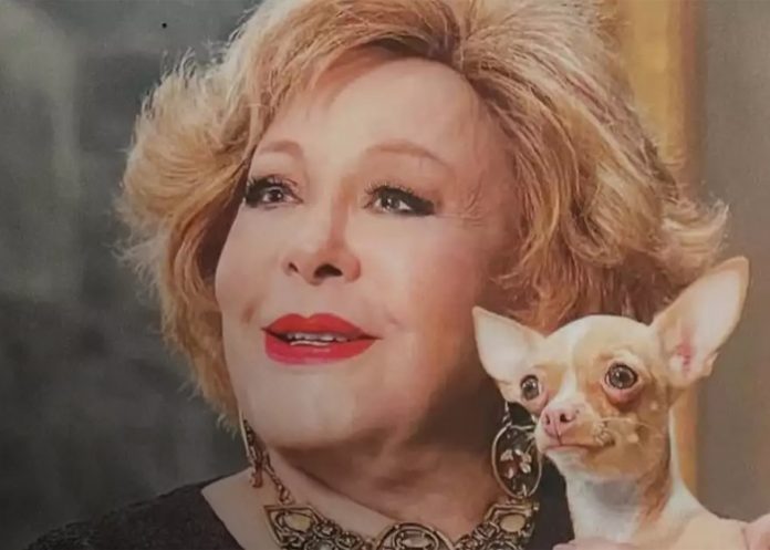 Foto: Silvia Pinal a un año de su muerte /cortesía Foto: Silvia Pinal a un año de su muerte /cortesía
