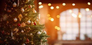 Foto: La Navidad más iluminada del mundo /cortesía