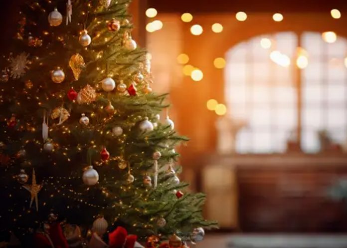 Foto: La Navidad más iluminada del mundo /cortesía