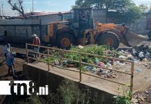Foto: Alcaldía de Managua llama a la población a proteger / TN8