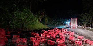 Foto: Cabezal pierde carga y hiere a tres, incluyendo un menor en Río Blanco / TN8
