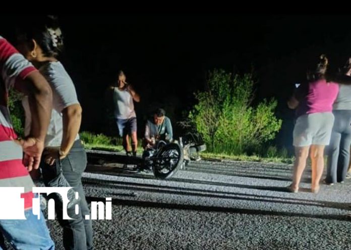 Foto: Semoviente en la carretera El Viejo – Puerto Morazán / TN8