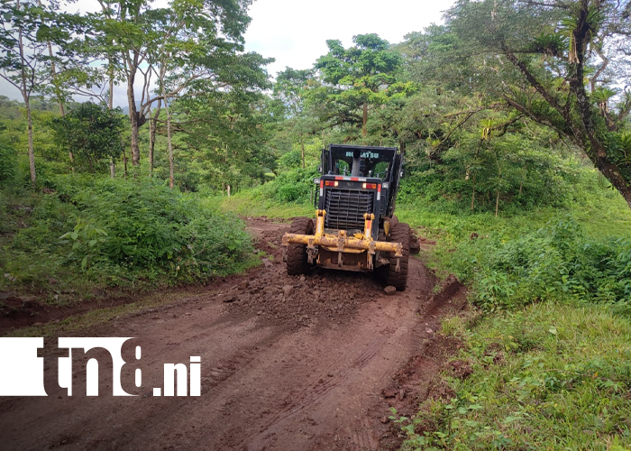 Foto: Matiguas impulsan economía con reparación de 22 kilómetros de vía/TN8