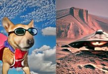 Cómo identificar si un video viral fue creado con inteligencia artificial Foto: Cómo identificar si un video viral fue creado con inteligencia artificial / Cortesía