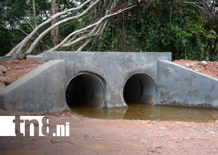 Foto: Fortalecen economía y bienestar en Puerto Cabezas / TN8
