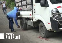 Foto Trabajador muere tras caer de un camión en marcha en la Isla de Ometepe / Cortesía