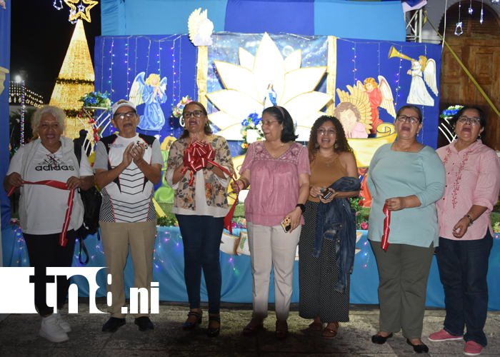 Foto: Granada inaugura 10 coloridos altares en honor a la Inmaculada Concepción de María/TN8