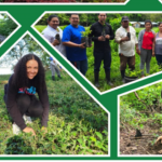 Chontales avanza en restauración ambiental con la campaña “Verde, Que Te Quiero Verde” Foto: MARENA impulsa reforestación comunitaria con más de medio millón de plantas/Cortesía